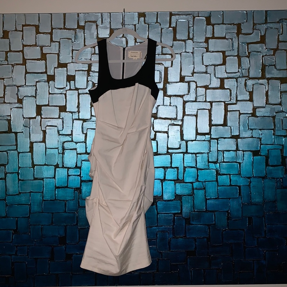 Nicole Miller Dress